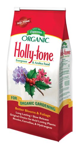Holly - Tone 4lb