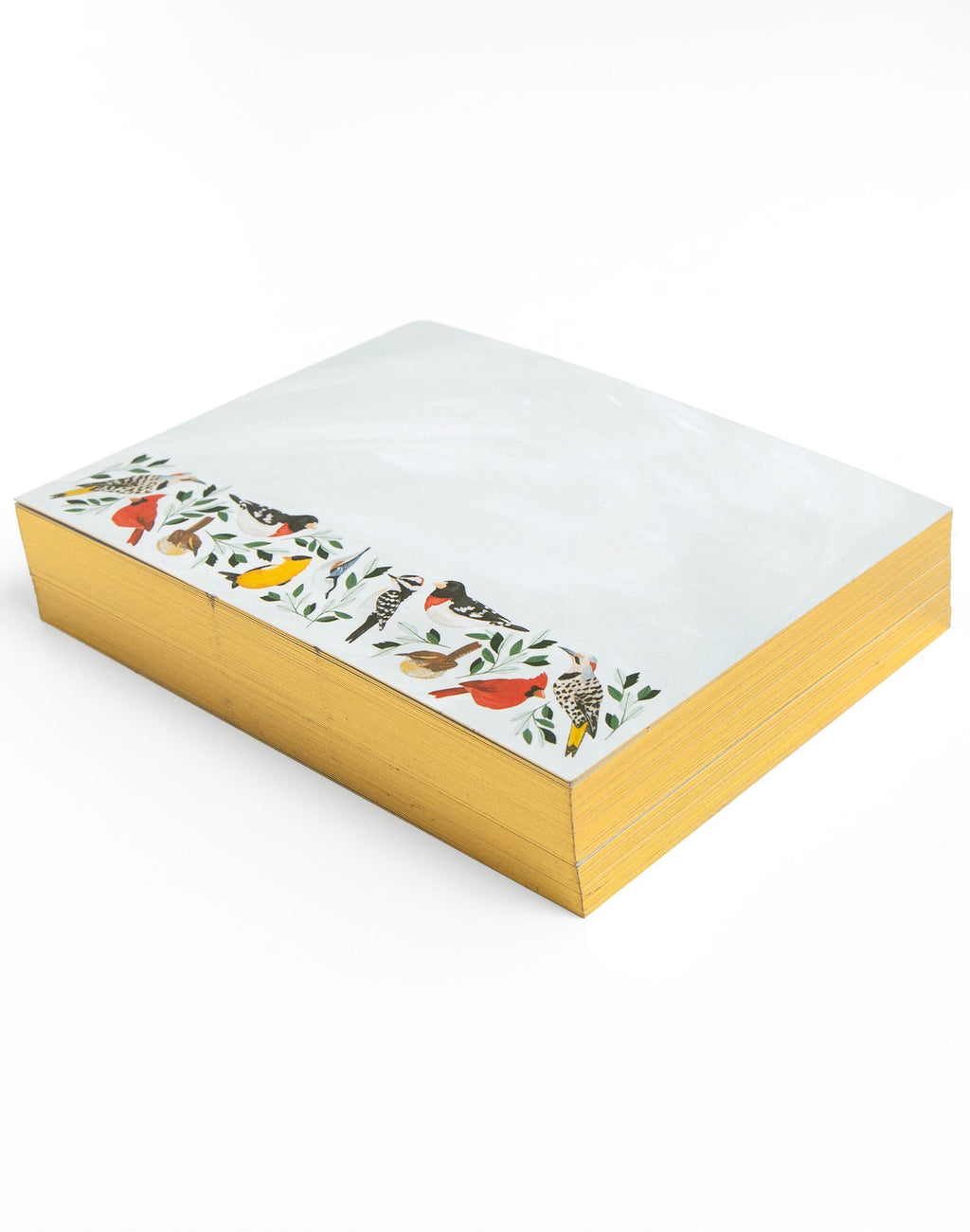 Feathered Friends Birds Desk Jotter