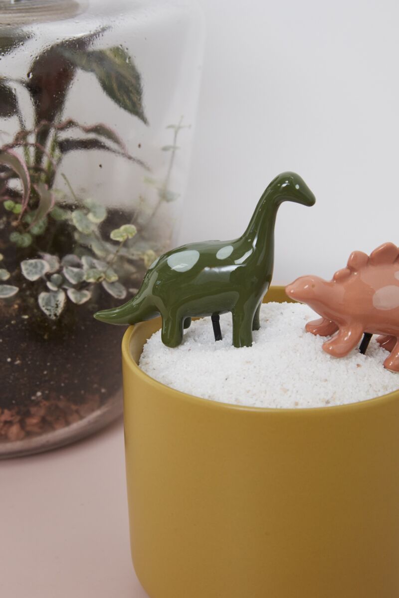 Dinosaur Friends Plant Stick