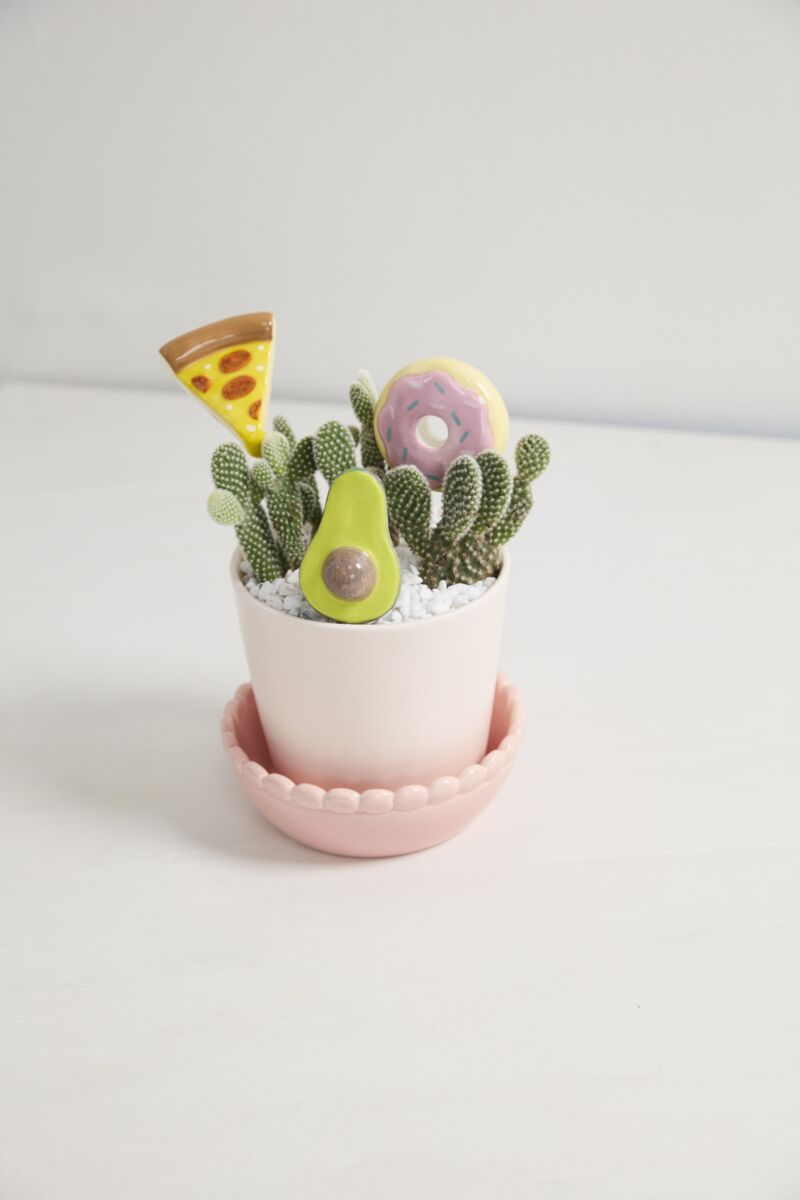 Yummy Plant Plant Stick