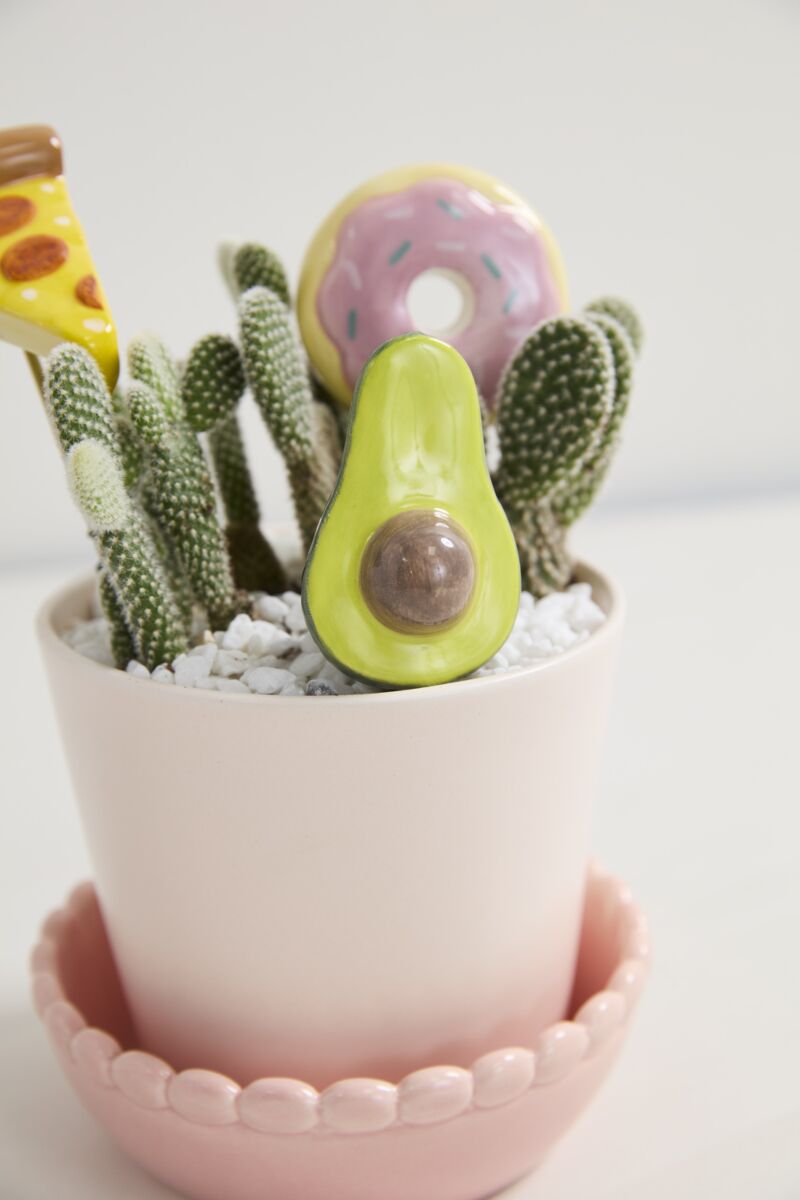 Yummy Plant Plant Stick