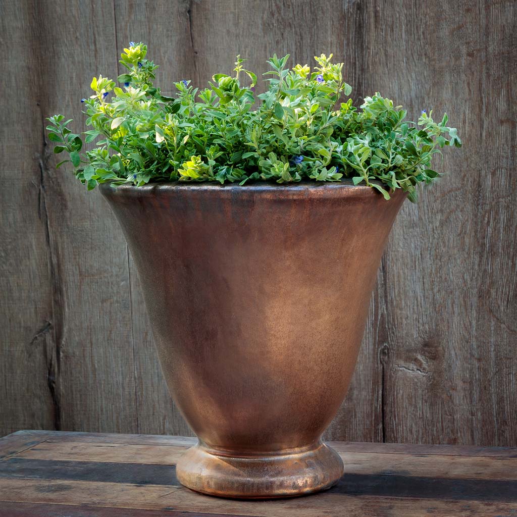 Caterine Urn II