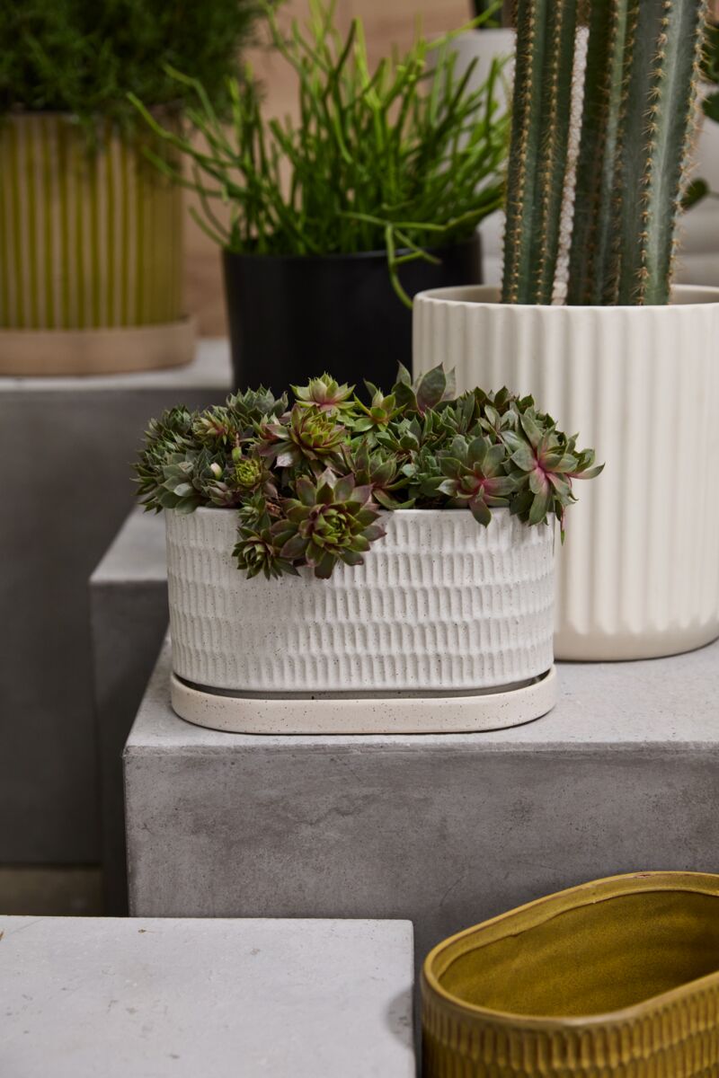 Zelle Planter