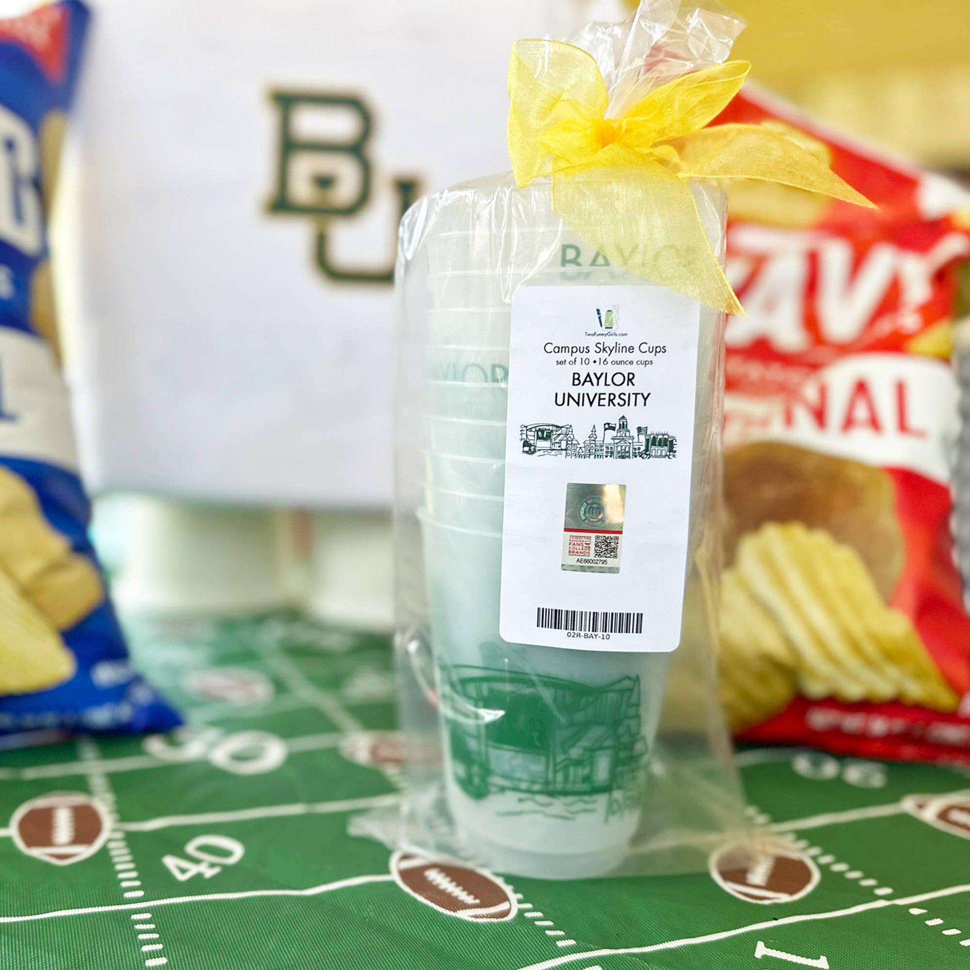 Shatterproof Cup 10 Pack {Baylor University Skyline-Waco}