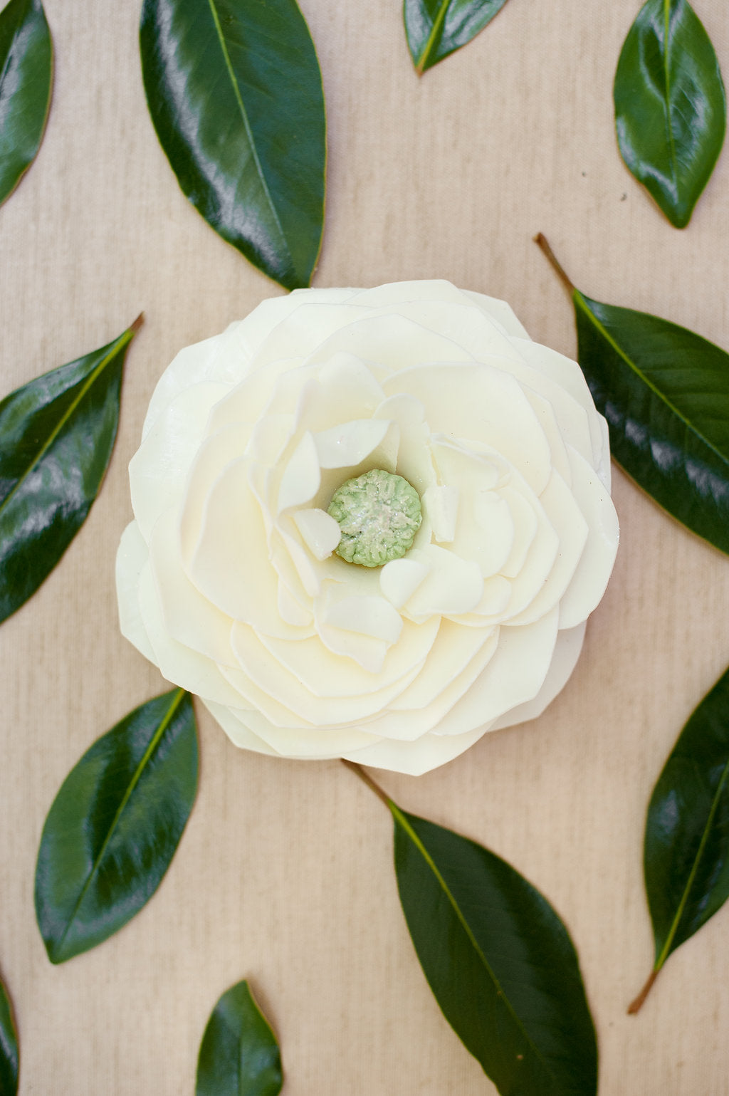 Mississippi Queen Magnolia - Large Soap Petal Flower