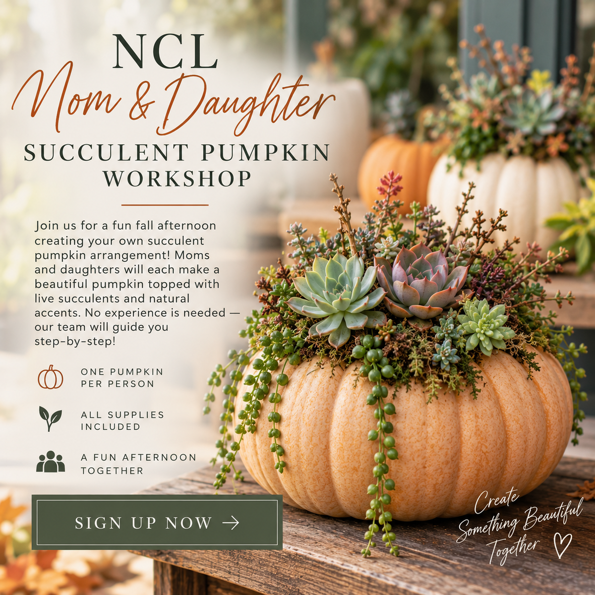Private NCL Event - Succulent Pumpkins