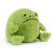 Ricky Rain Frog