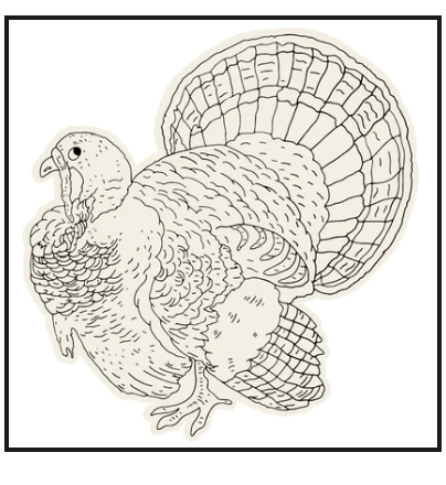 Die-Cut Coloring Turkey Placemat