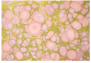 PINK & GREEN STONE MARBLED PLACEMAT