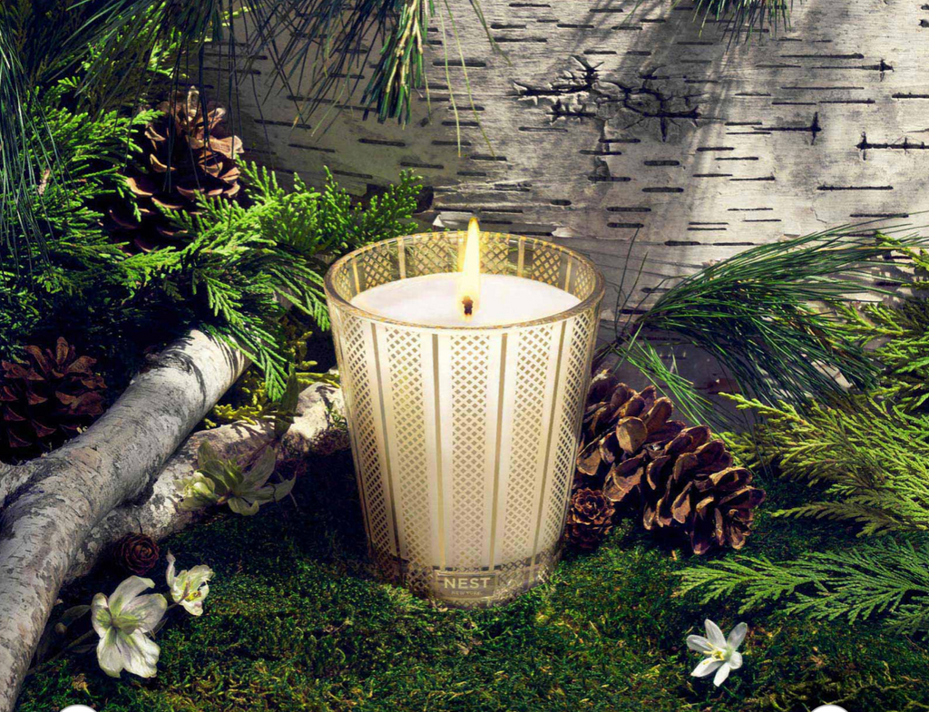 Nest Birchwood Pine Candle 8.1 oz.