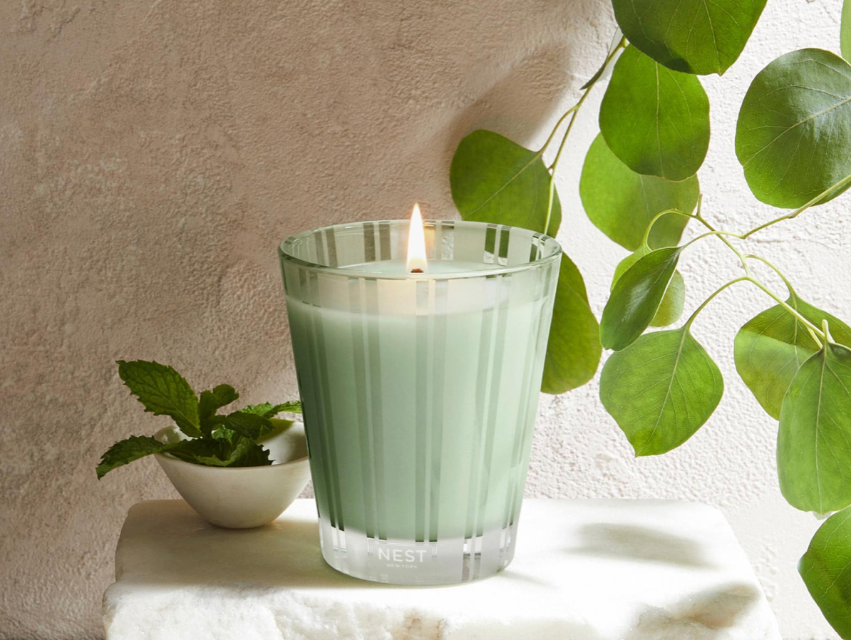 Nest Wild Mint & Eucalyptus Candle 8.1 oz.