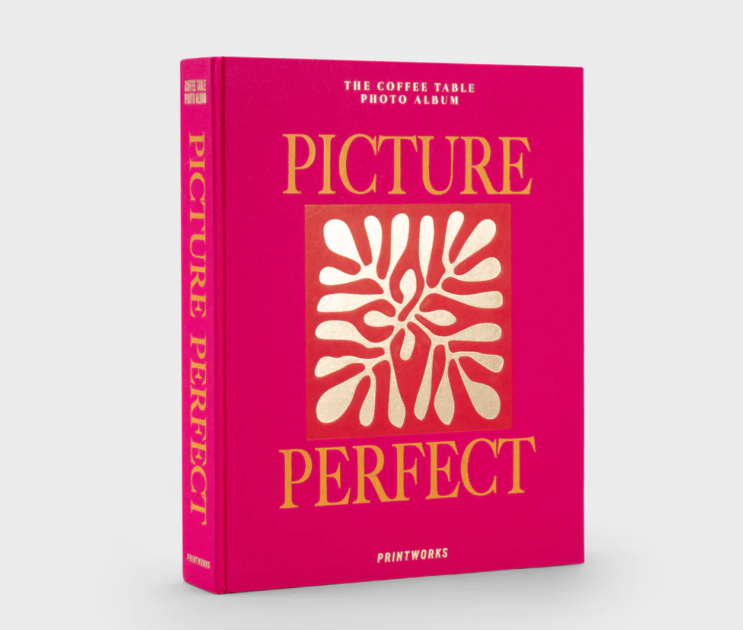 Picture Perfect Photo Album