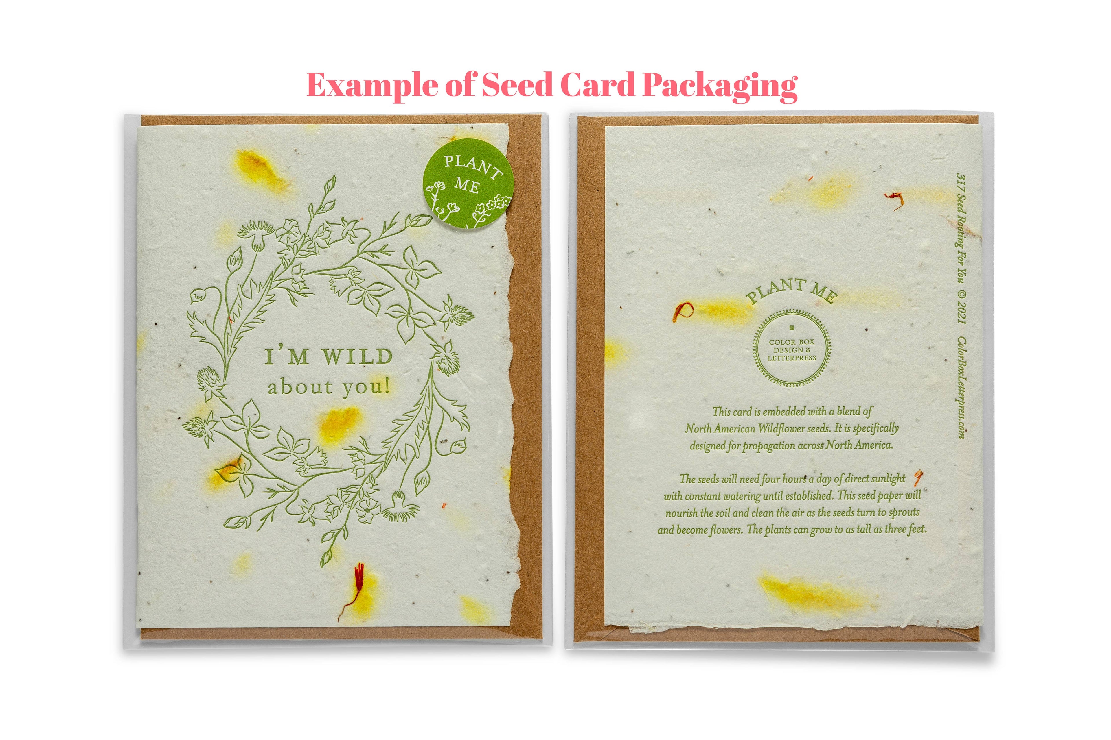 Wild Birthday | Seed Card | Letterpress Greeting Card