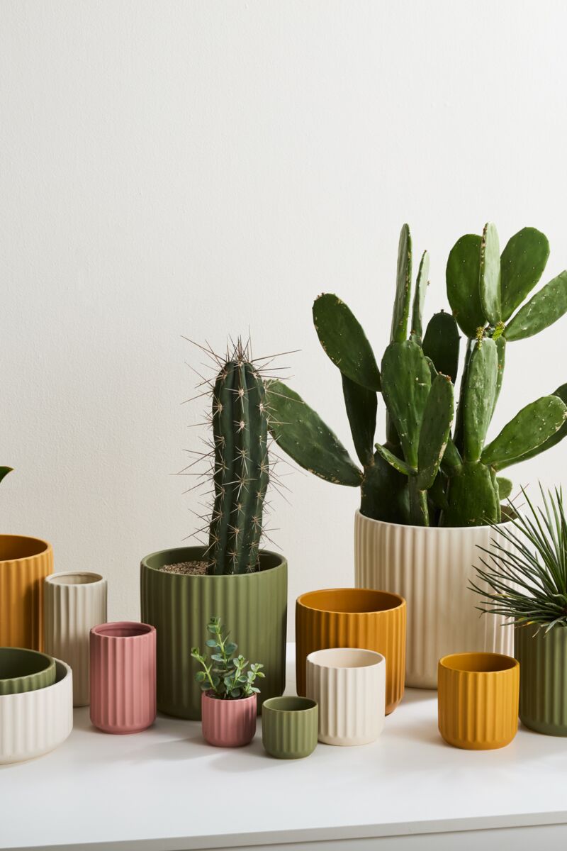 Beam Pot