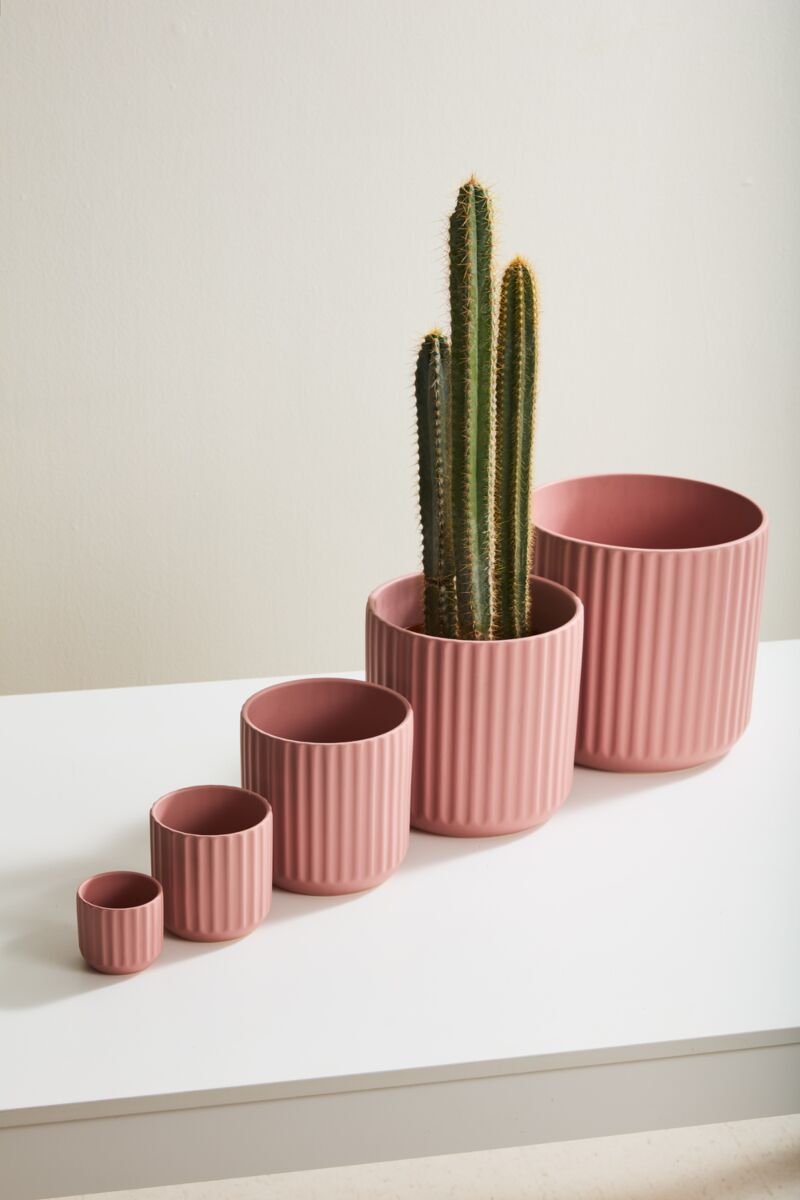 Beam Pot