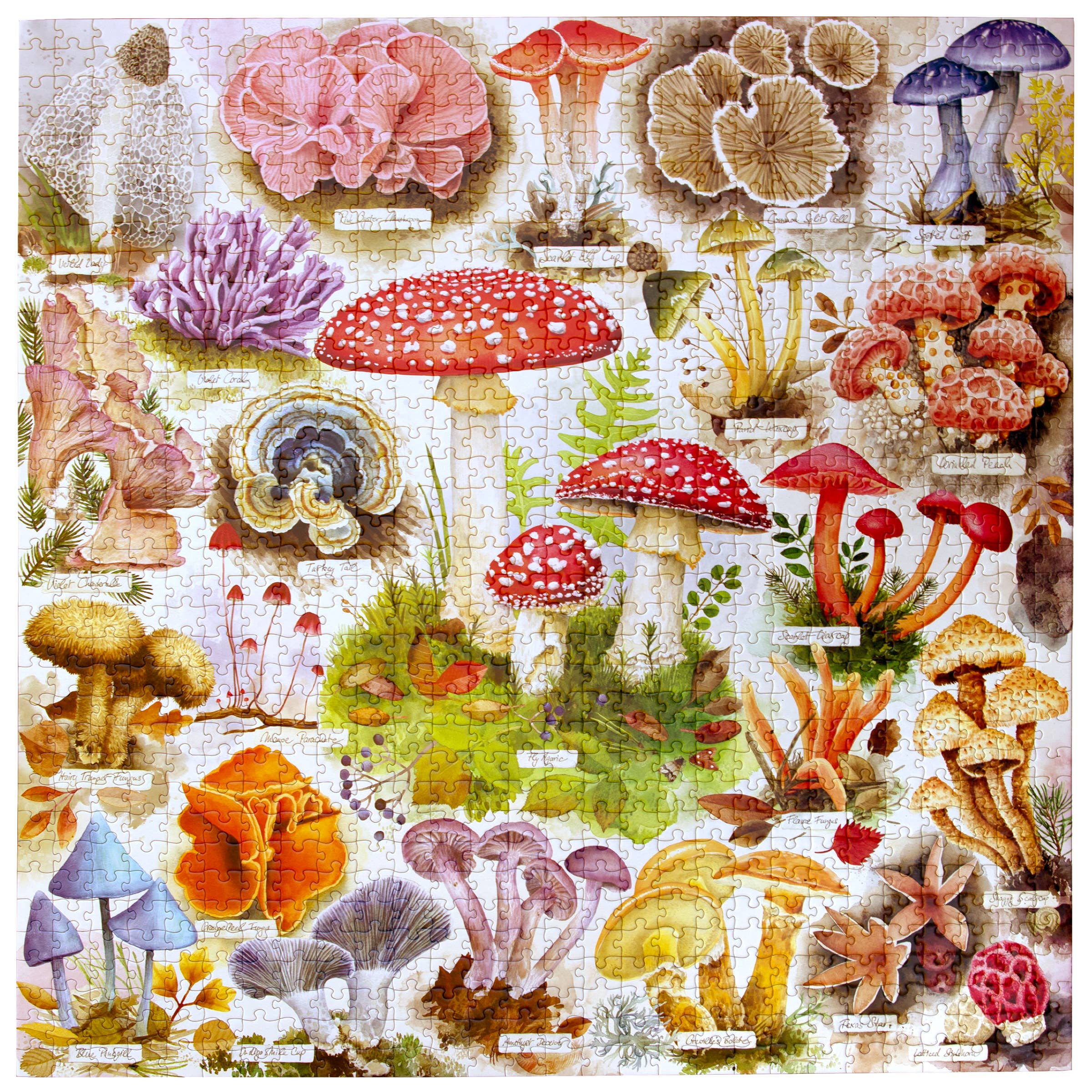 Bountiful Mushrooms 1000 Piece Puzzle