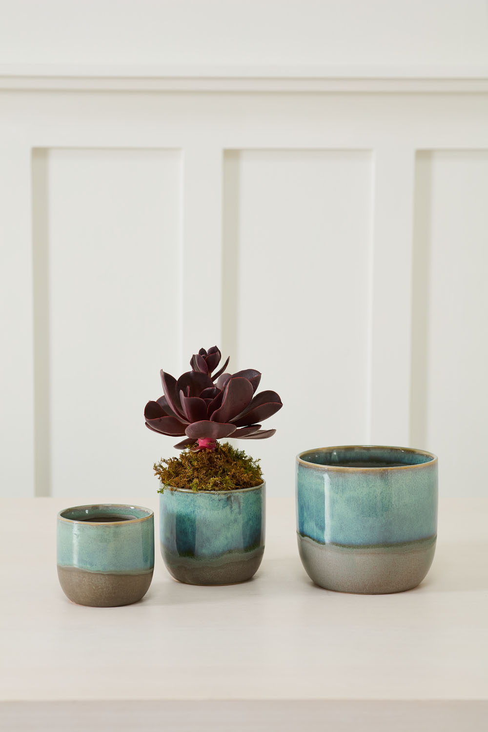 Caribe Pot