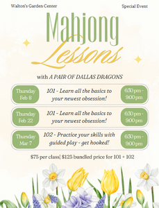Mahjong Lessons 101 Thursday, Feb 8