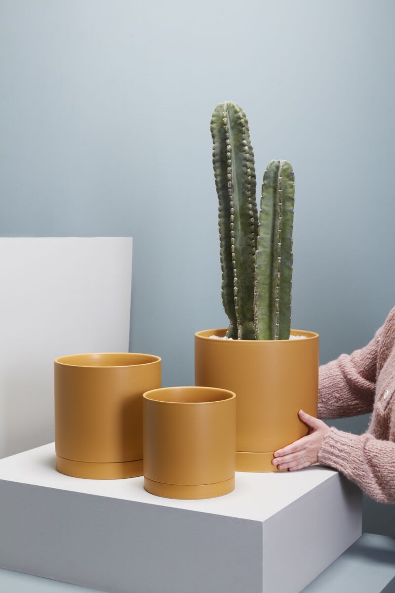 Romey Pot