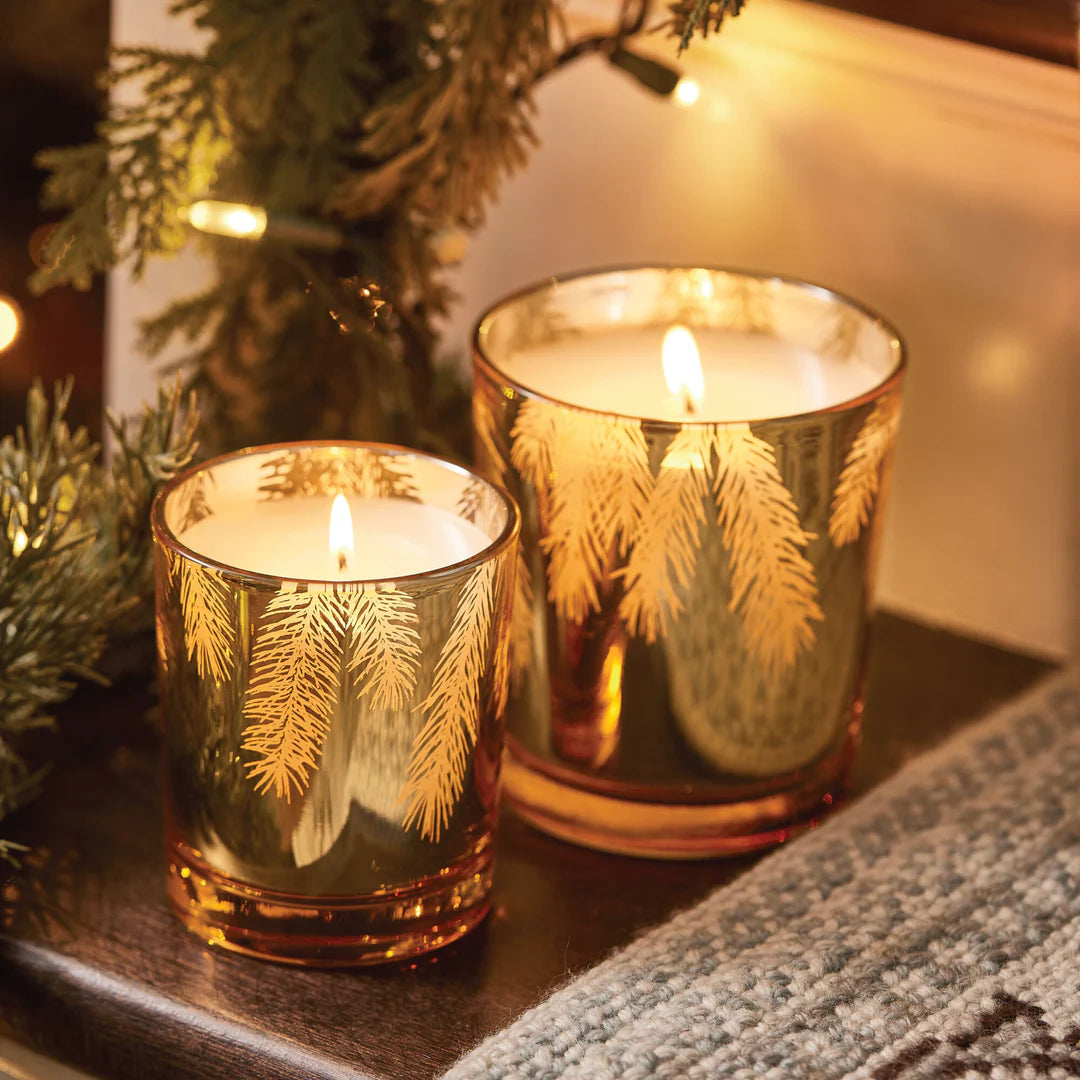 Frasier Fir 13 oz Poured Candle Gilded