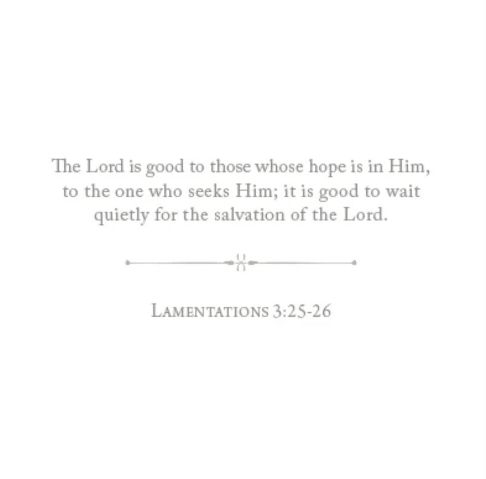 100 Days of Scripture