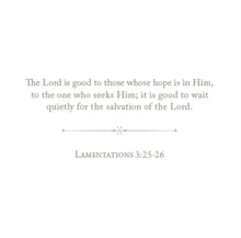 Load image into Gallery viewer, 100 Days of Scripture