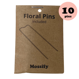 Floral Pins - Greening Pins - Moss Pole Pins - Hold Your Plants Up - Zero Plastic Product