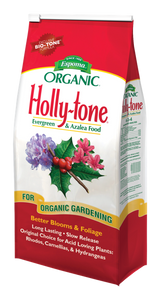 Holly - Tone 4lb