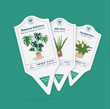 Load image into Gallery viewer, House Plant Care Cards