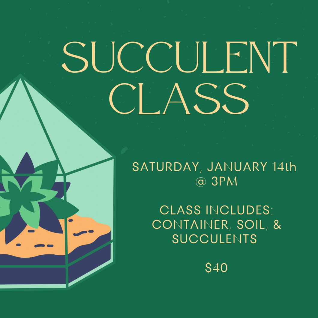 Succulent Class
