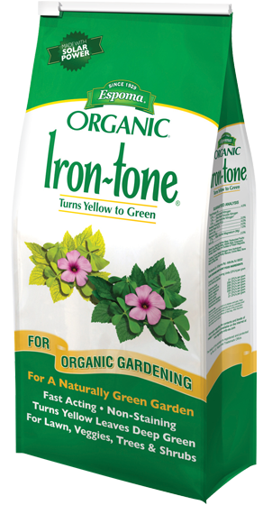 Iron - Tone 4lb