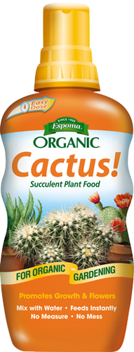 Cactus! Succulent Plant Food